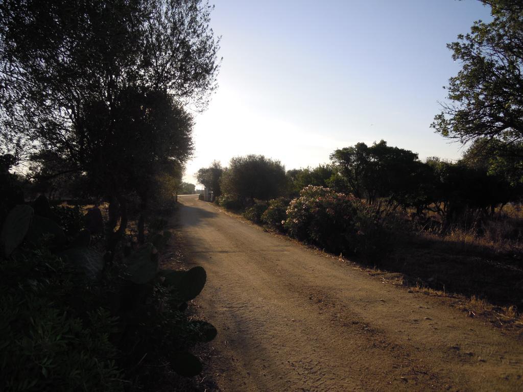 Pira Pinta Dorgali
