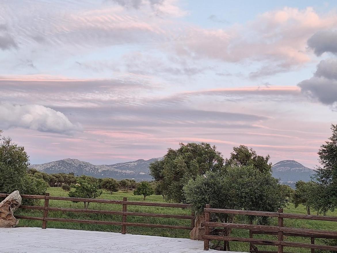 Pira Pinta Bed & Breakfast Dorgali