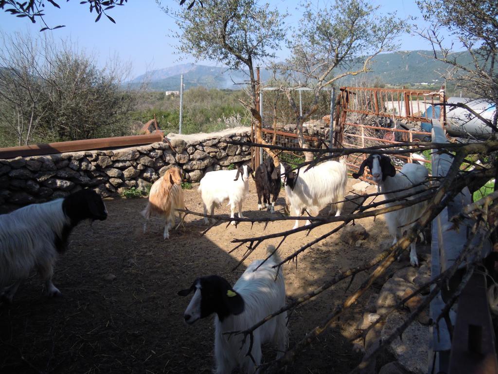 Bed & Breakfast Pira Pinta Dorgali