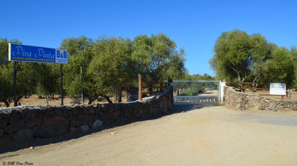 Pira Pinta Dorgali